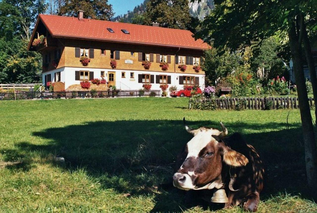 Gaestehaus Hedwig Bad Hindelang Extérieur photo